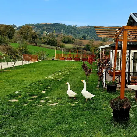 Dogal Huzurlu Villa *